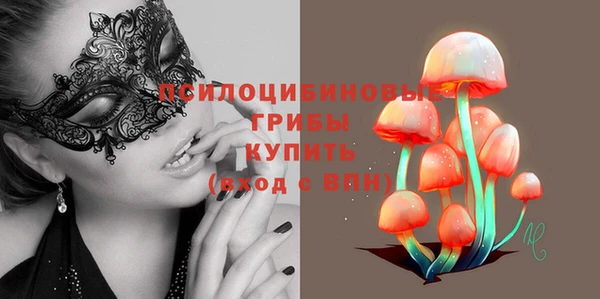 СК Гусиноозёрск