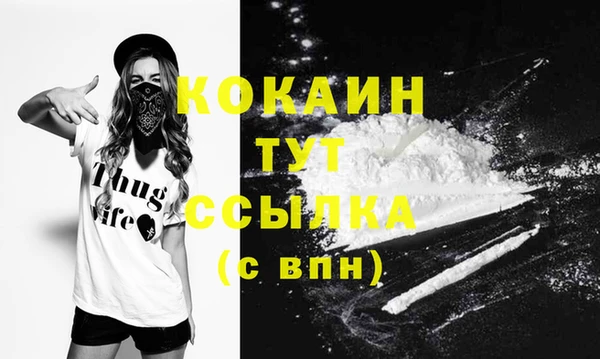твердый Дмитриев
