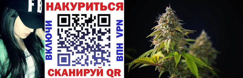 Купить где Каргат Шишки марихуана White Widow